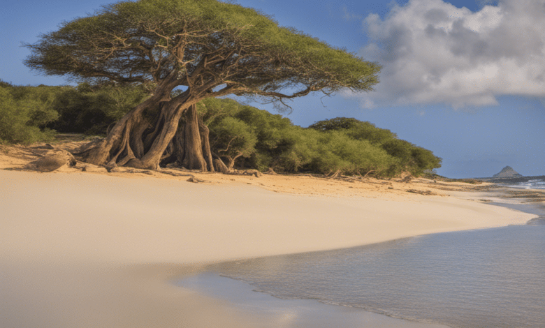Africa's Best Beaches: Sun, Sand, And Serenity