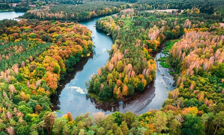 small river and autumn forest in Poland